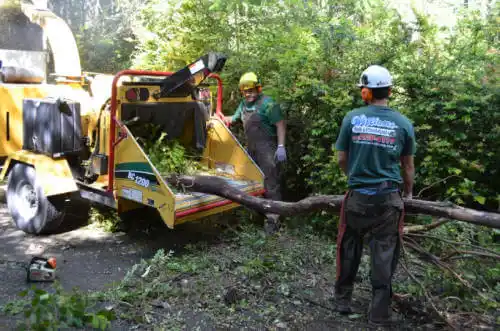 tree services Fairview